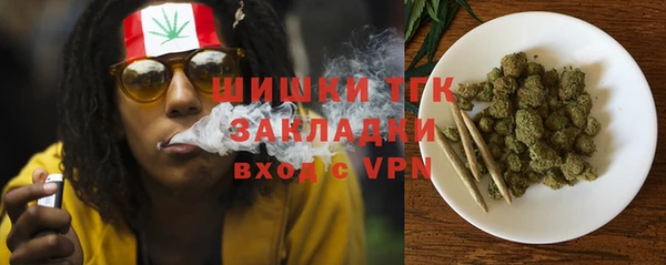 дурь Ладушкин
