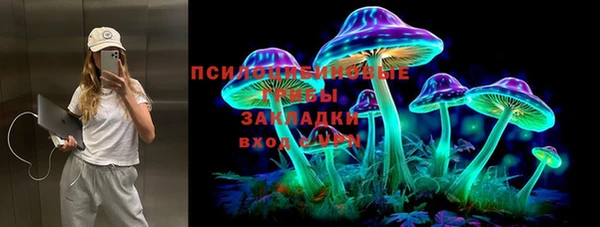 ПСИЛОЦИБИНОВЫЕ ГРИБЫ Лабытнанги