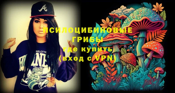 спайс Лагань