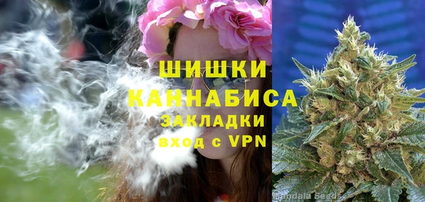 дурь Ладушкин