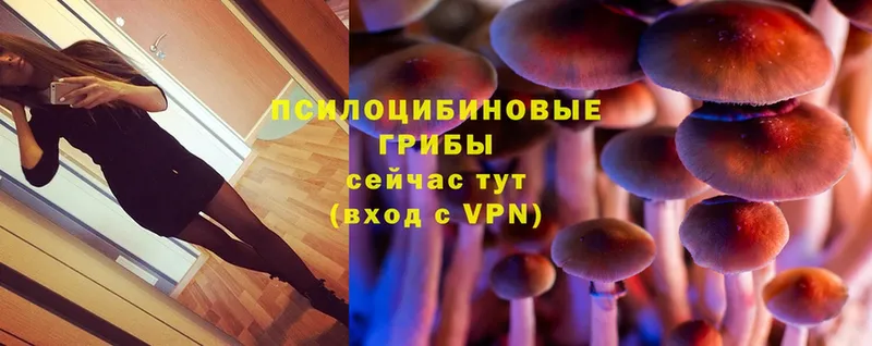 Псилоцибиновые грибы Magic Shrooms  Гаджиево 