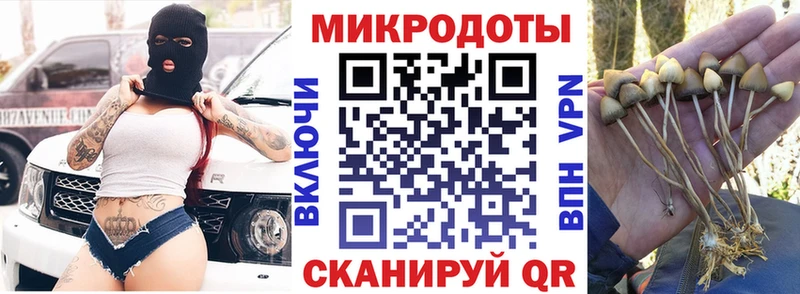 Псилоцибиновые грибы мухоморы Гаджиево